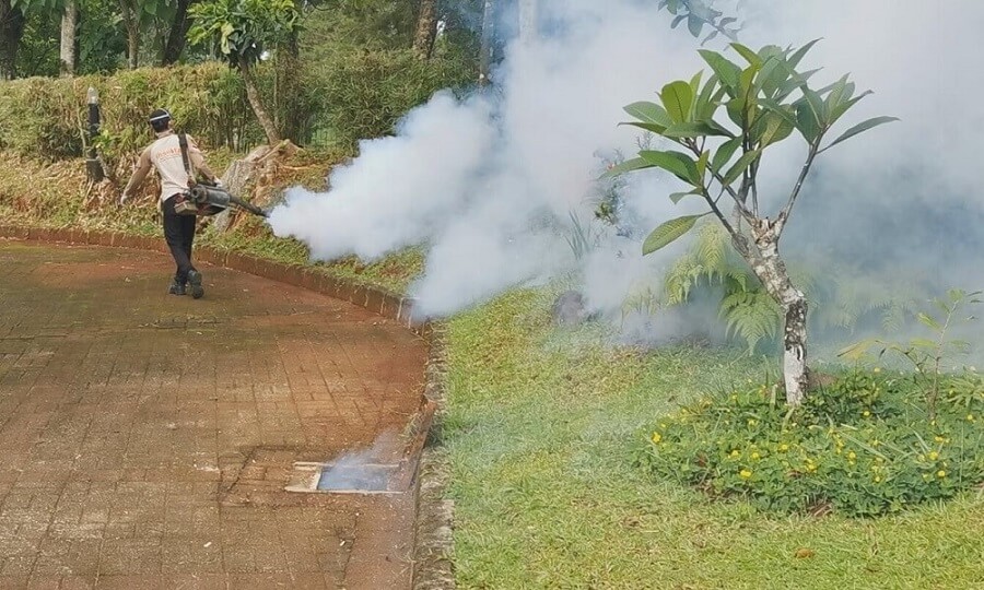 Cara Membasmi Nyamuk | Insekta Pest Control