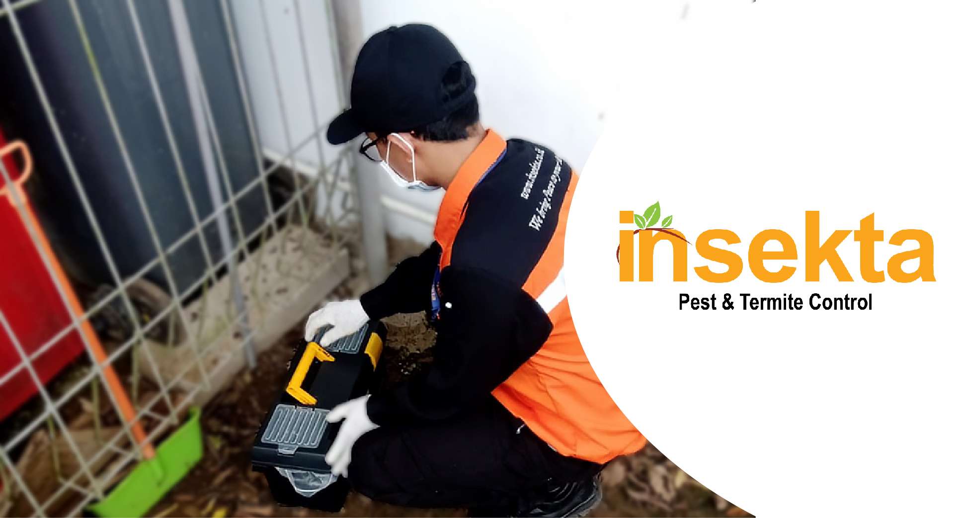Jasa Pembasmi Tikus di Jakarta