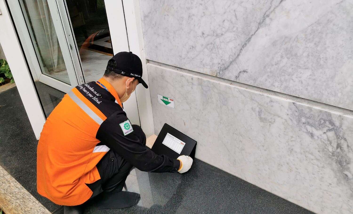 Cara Membasmi Tikus Curut