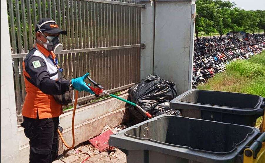Jasa Pengendalian Hama Semut Tomcat