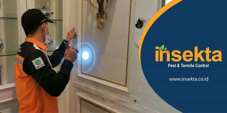 Apa Itu Pest Control? Mengenal Konsep Dan Manfaatnya