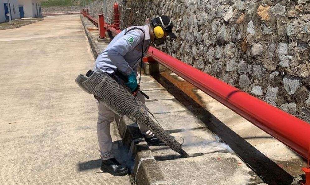 5 Jenis Nyamuk yang Sering Kita Jumpai
