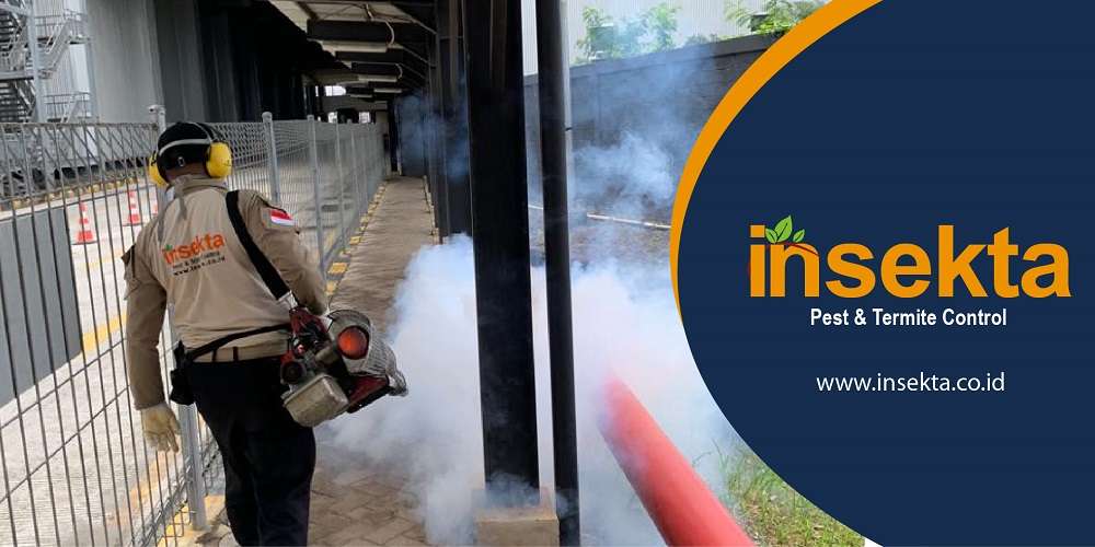 Virus Zika dan 3 Cara Pengendaliannya