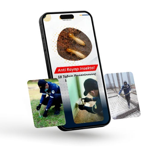 Layanan Anti Rayap Insekta