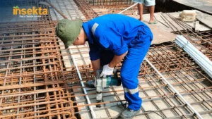 jasa anti rayap rumah murah insekta