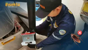 harga jasa pest control