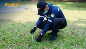 jasa pembasmi hama bandung