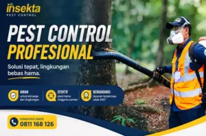 Jasa Pest Control Murah